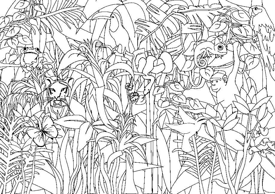 Jungle Printable Coloring Page