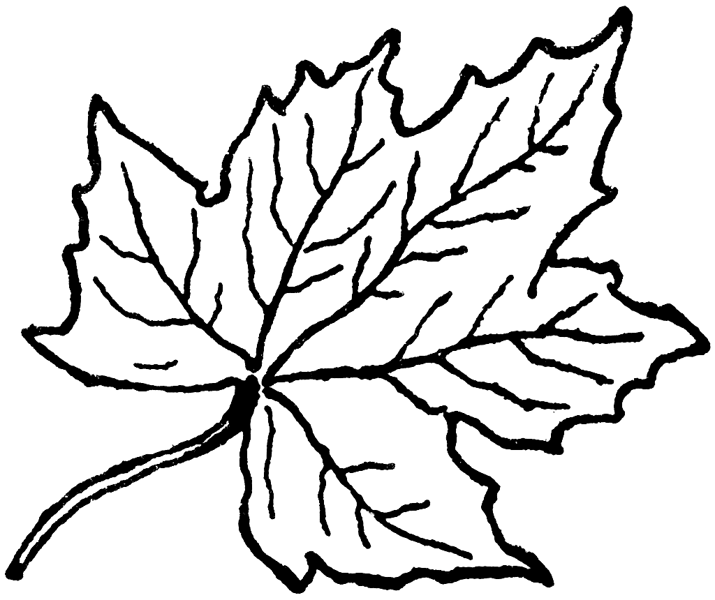 Leaf to print Coloring Pages