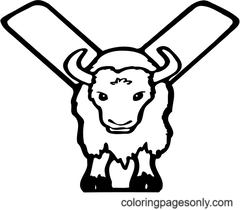 Letter Y Coloring Pages