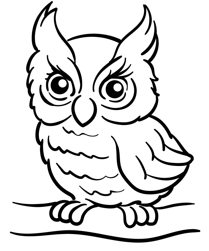Little Owl Coloring Page