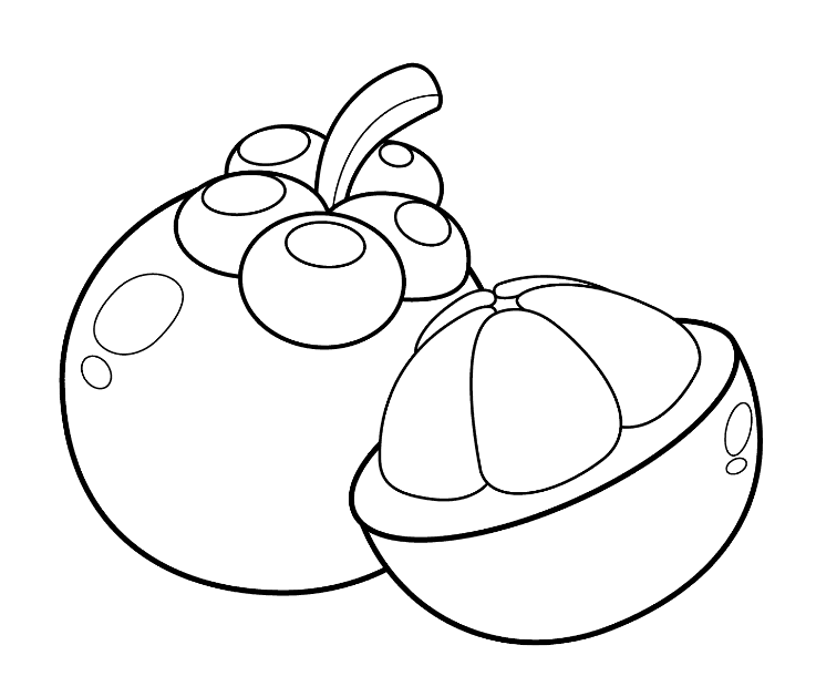 Mangosteen Fruits Coloring Page