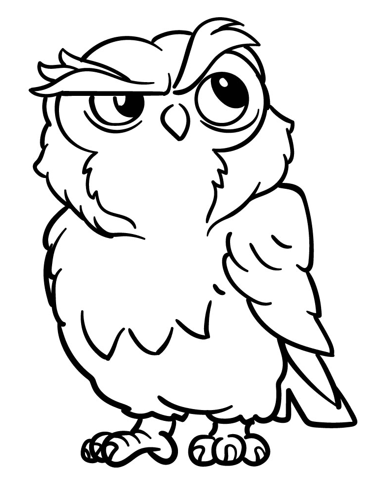 Owl Raised An Eyebrow from Owl