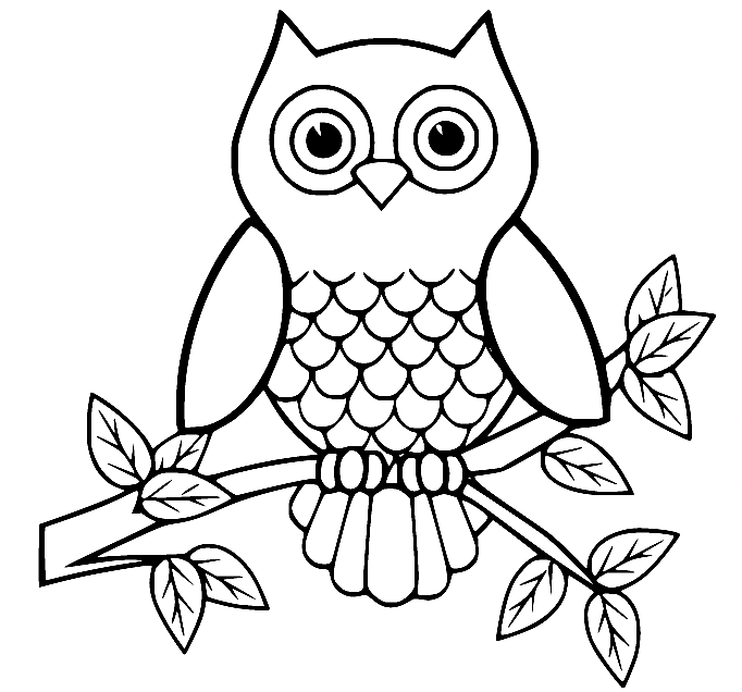 Owl Coloring Pages - Free Printable Coloring Pages