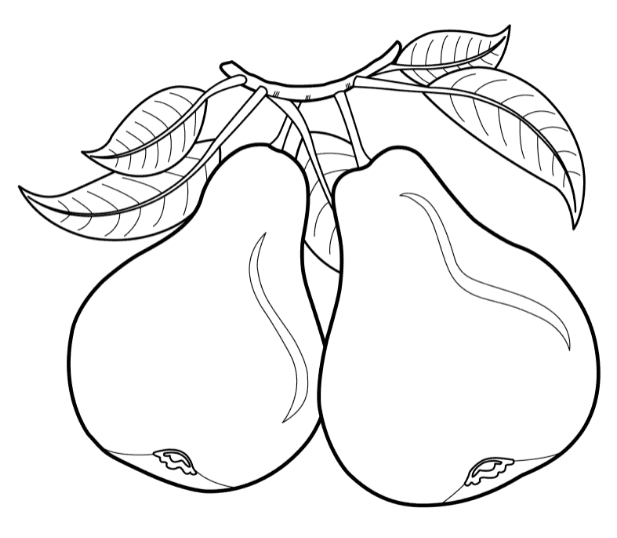 Pears Fruits Coloring Page