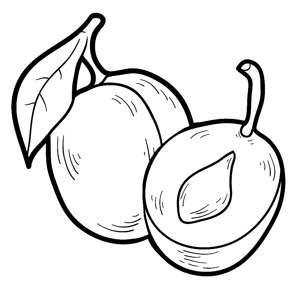 Plum Coloring Page