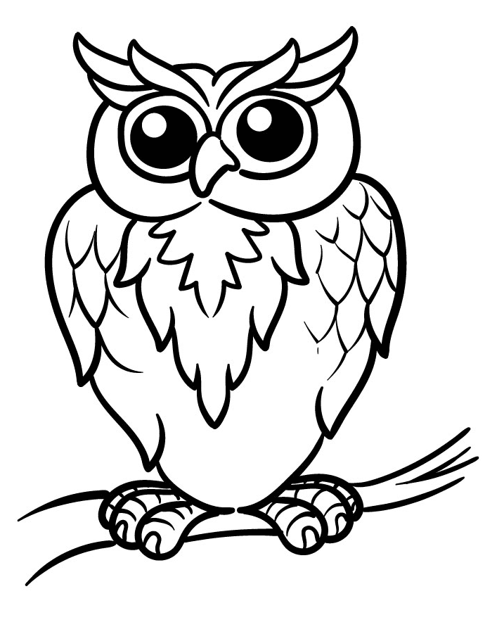 Druckbare Eule von Owl
