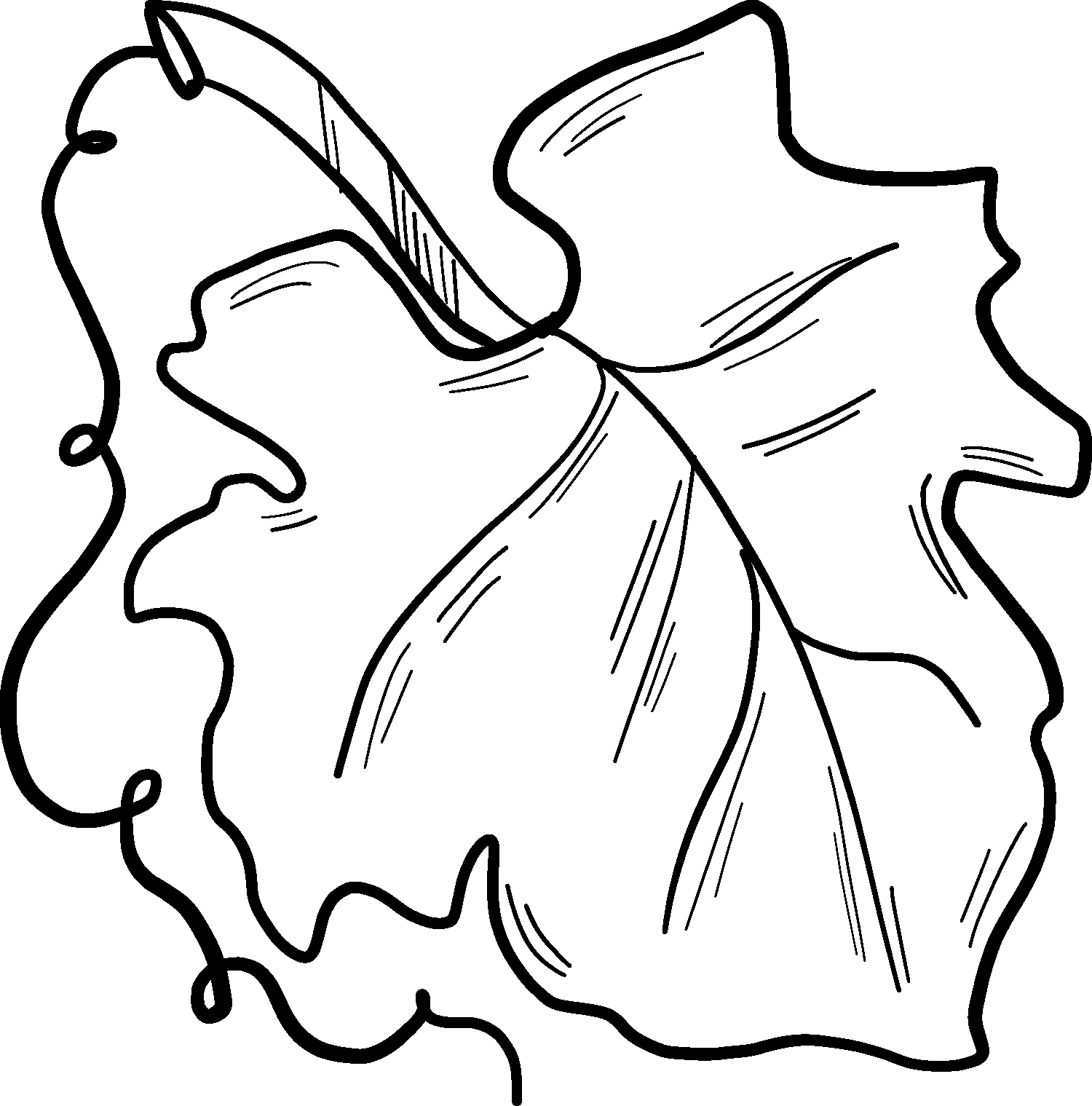 Kürbisblatt von Leaf