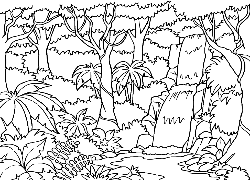 Rainforest Coloring Page
