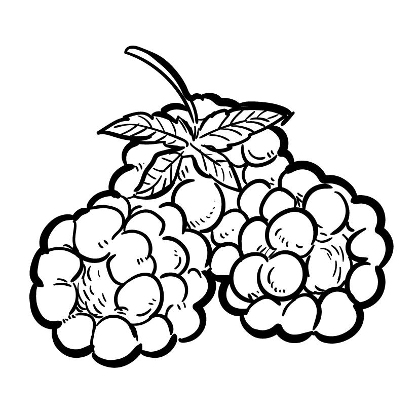 Raspberry Fruits Coloring Page