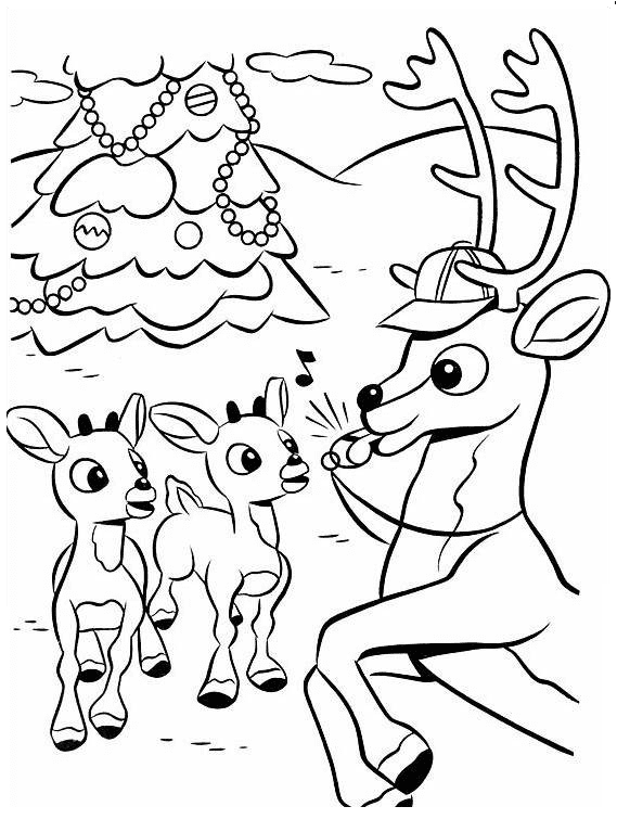 Rudolph-Training von Rudolph