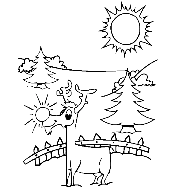 Rudolph en el sol de Rudolph