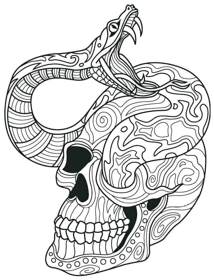 Skull And Snake Coloring Page