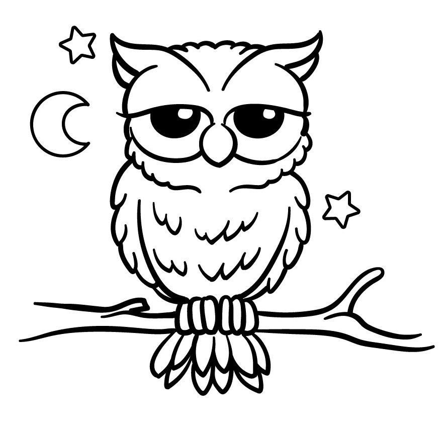 Schlafende Eule von Owl