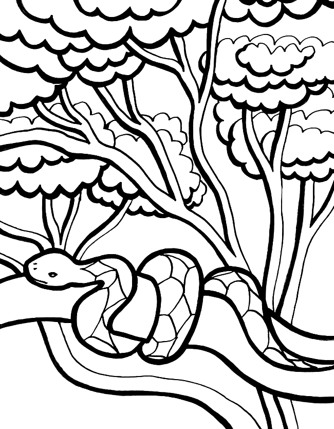 Змея в джунглях из джунглей