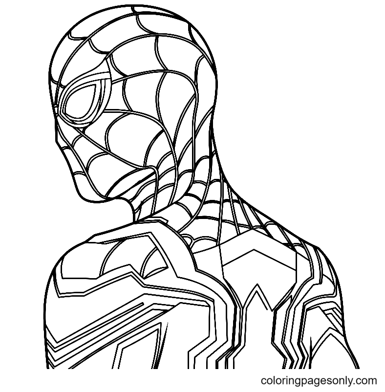 Spider Man No Way Home Coloring Pages Printable