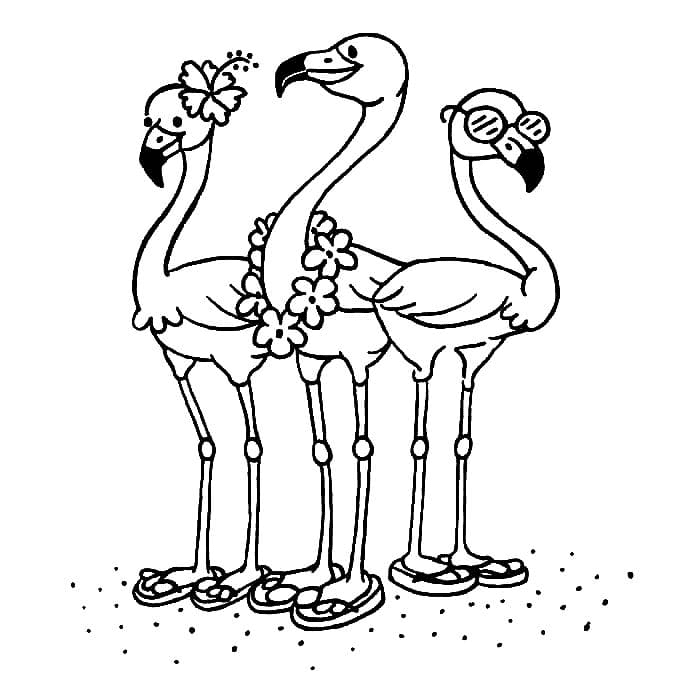 Drie Zomerflamingo's van Flamingo