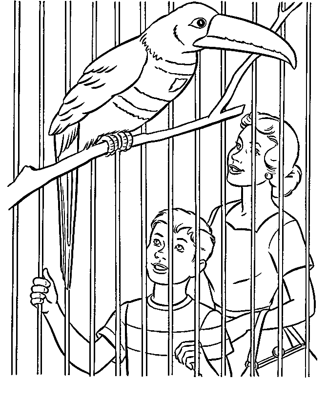 Toucan in Cage Coloring Page