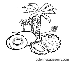 Dibujos De Frutas Tropicales Para Colorear