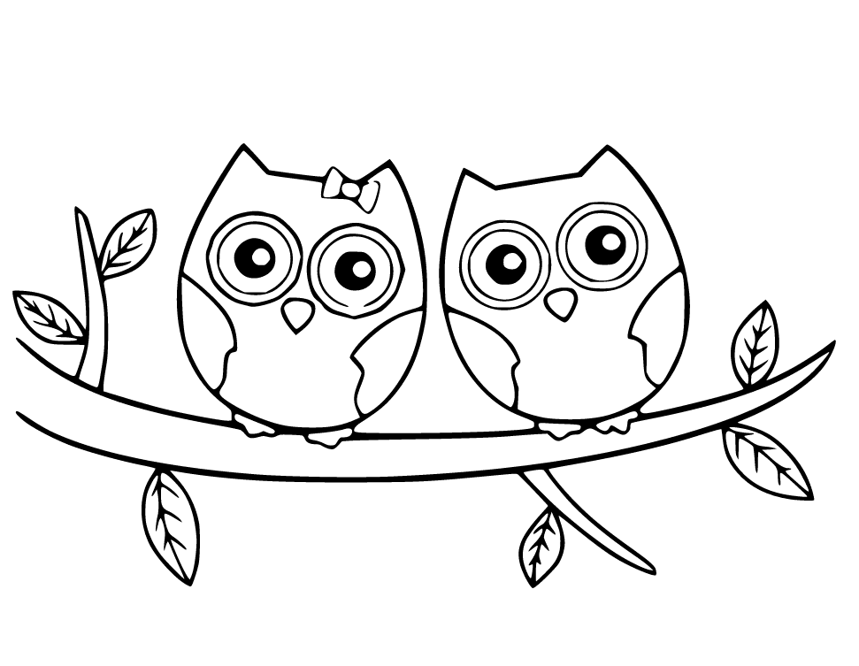 Dos búhos bebés en la rama de Owl