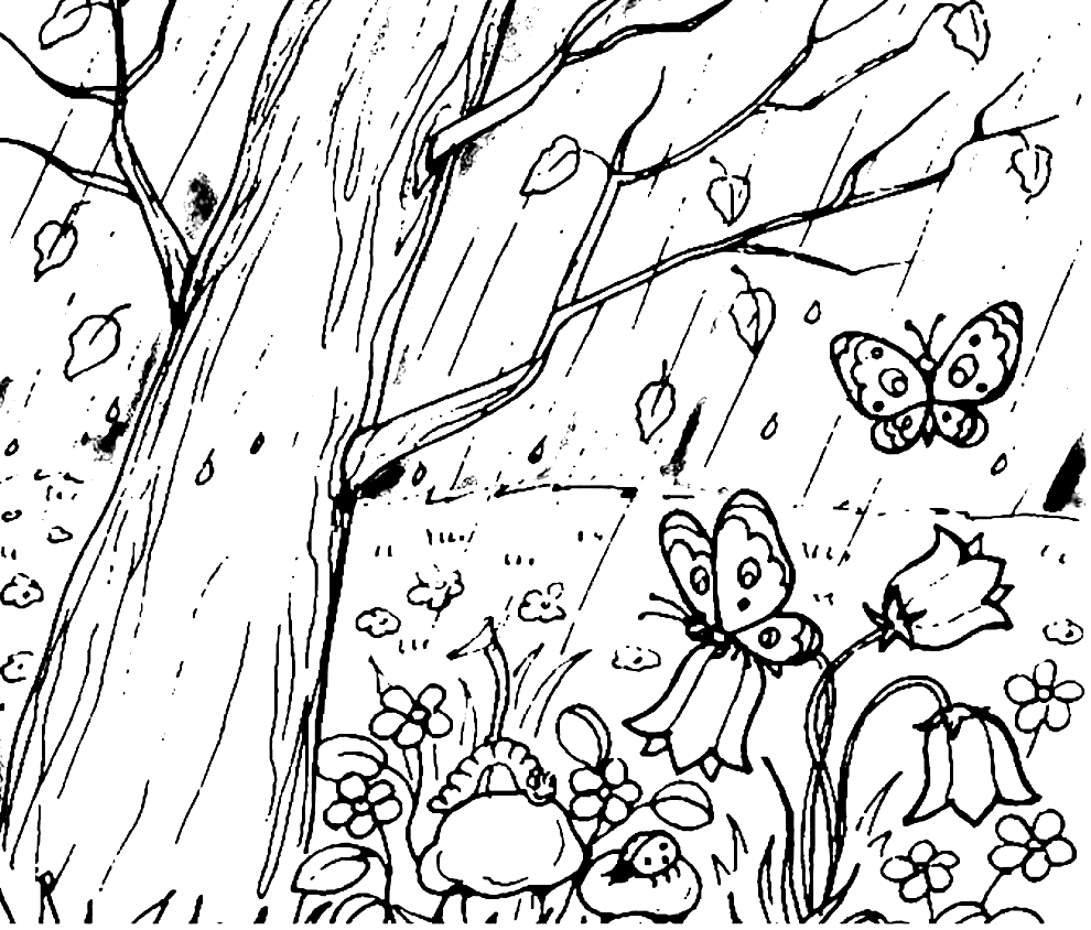 Wonderful Jungle Coloring Pages