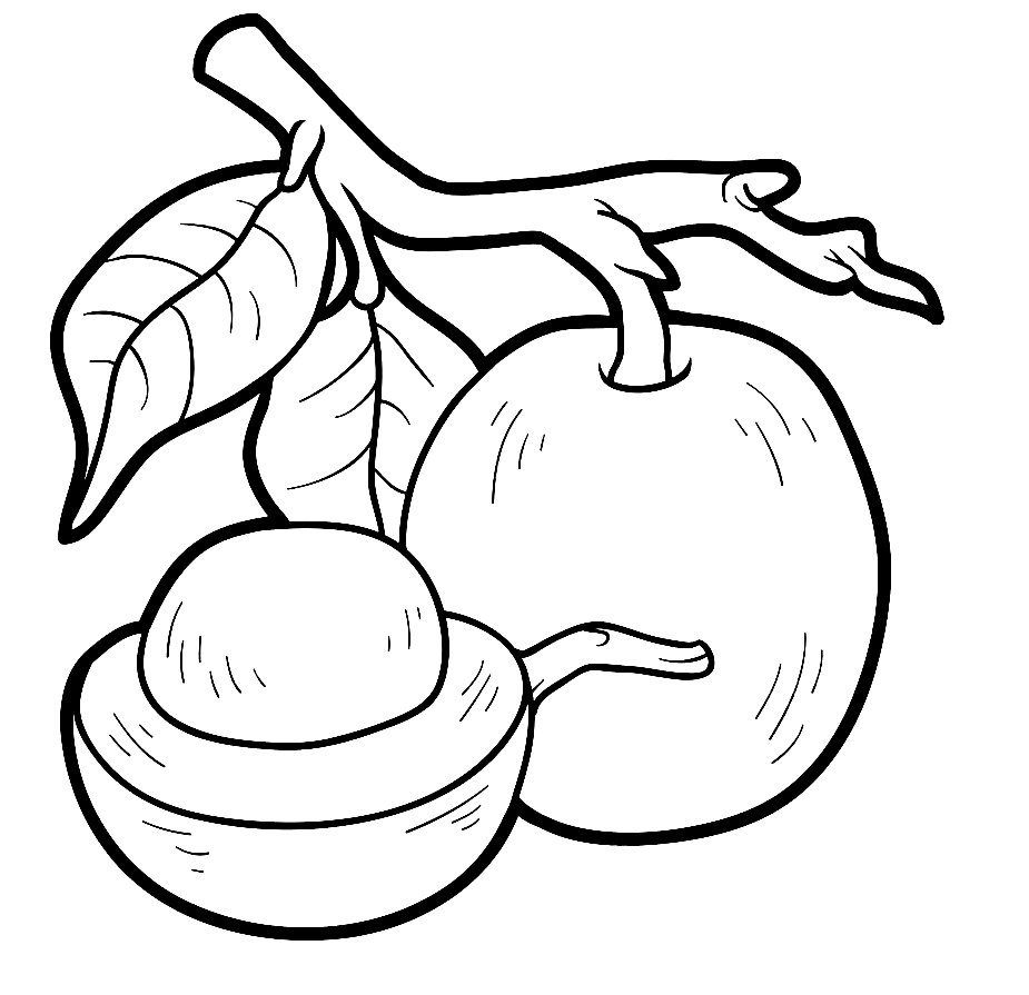 Ximenia-fruit van tropisch fruit