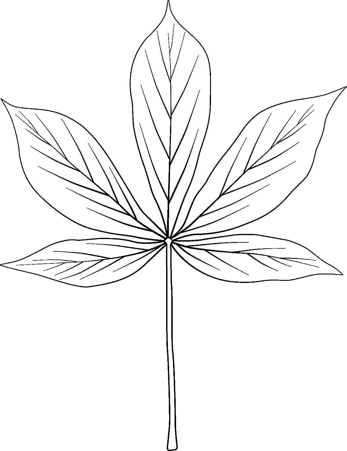 Yellow Buckeye Leaf Coloring Pages