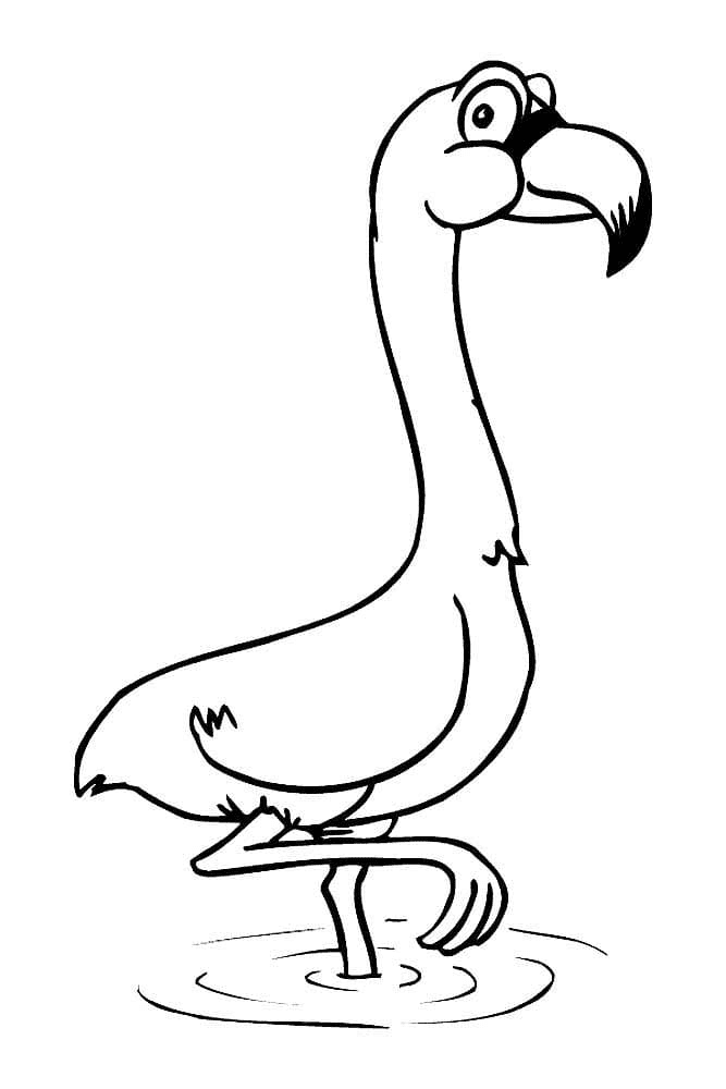 Young Flamingo Coloring Page