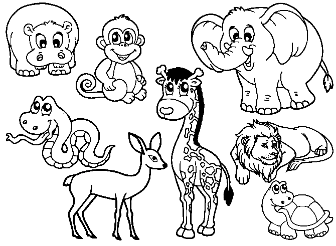 Zoo Animals for Preschool Coloring Pages