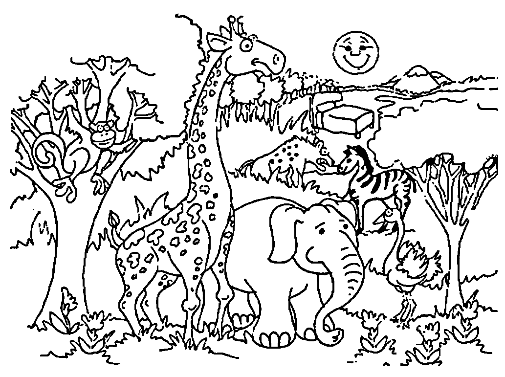Zoo for Preschool Coloring Page