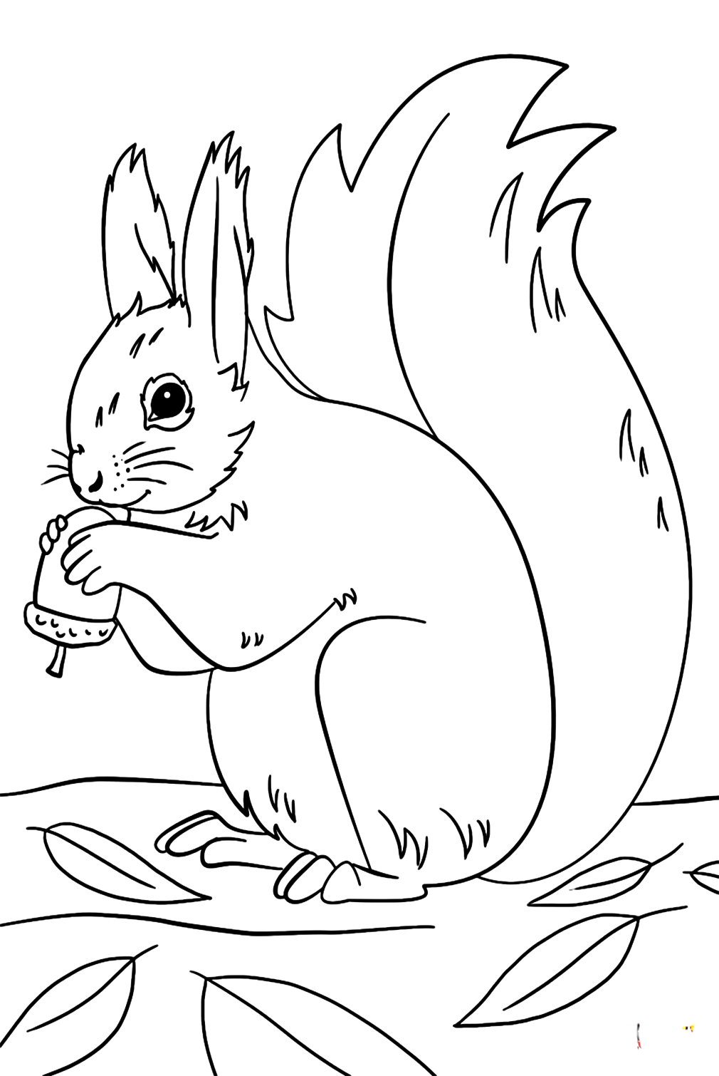 Squirrel Preparing For Fall Coloring Pages