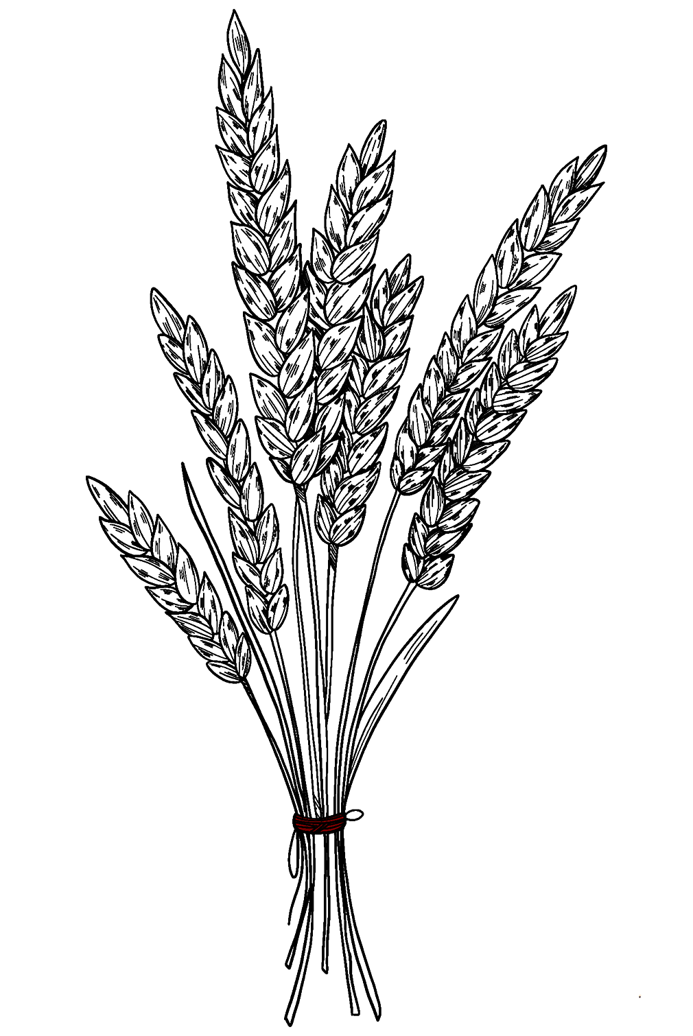 Wheat In Fall Coloring Page