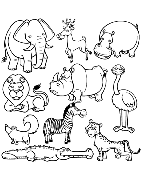 African Animals Coloring Pages - Animals Coloring Pages - Coloring Pages  For Kids And Adults