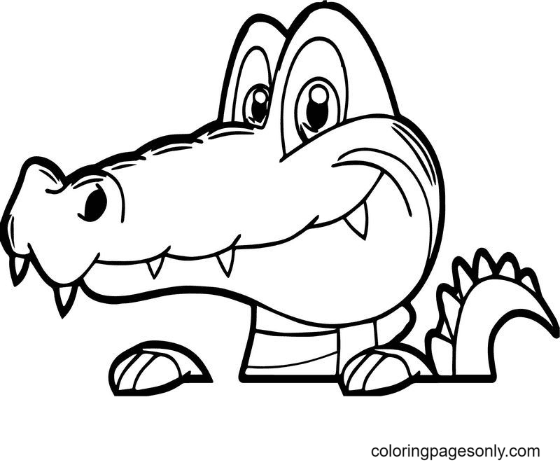 Alligator Face Coloring Page