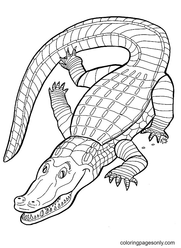Alligator for Kids Coloring Page