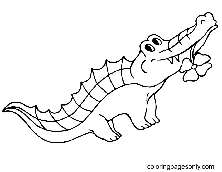 Alligator with a Flower in Its Mouth Coloring Page