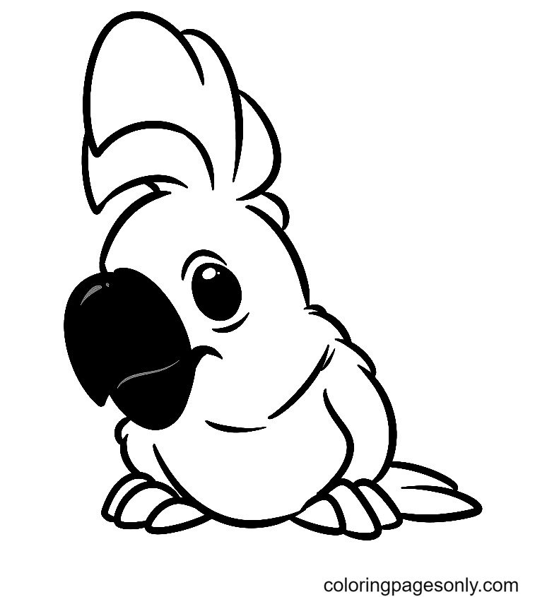 Baby Cockatoo Parrot Coloring Page