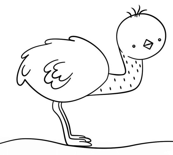 Baby Ostrich Coloring Pages