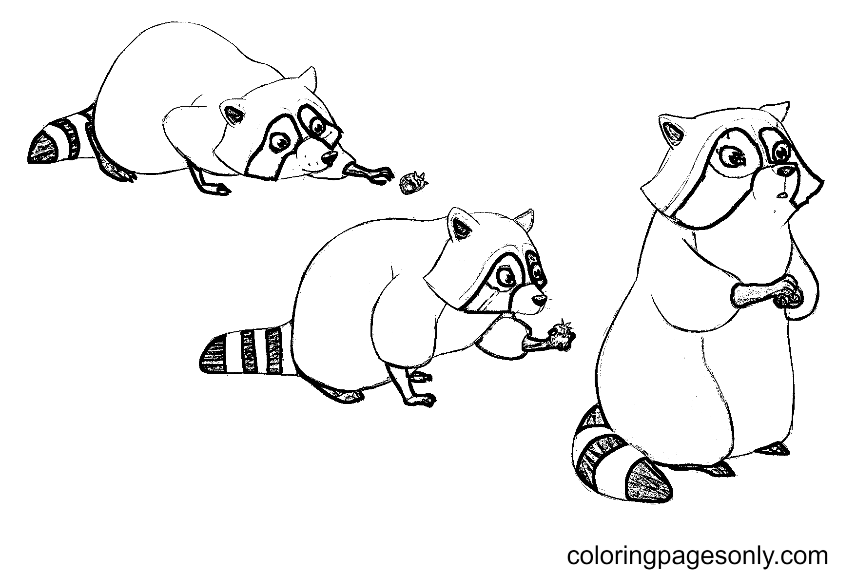 Baby Raccoon Free Coloring Pages