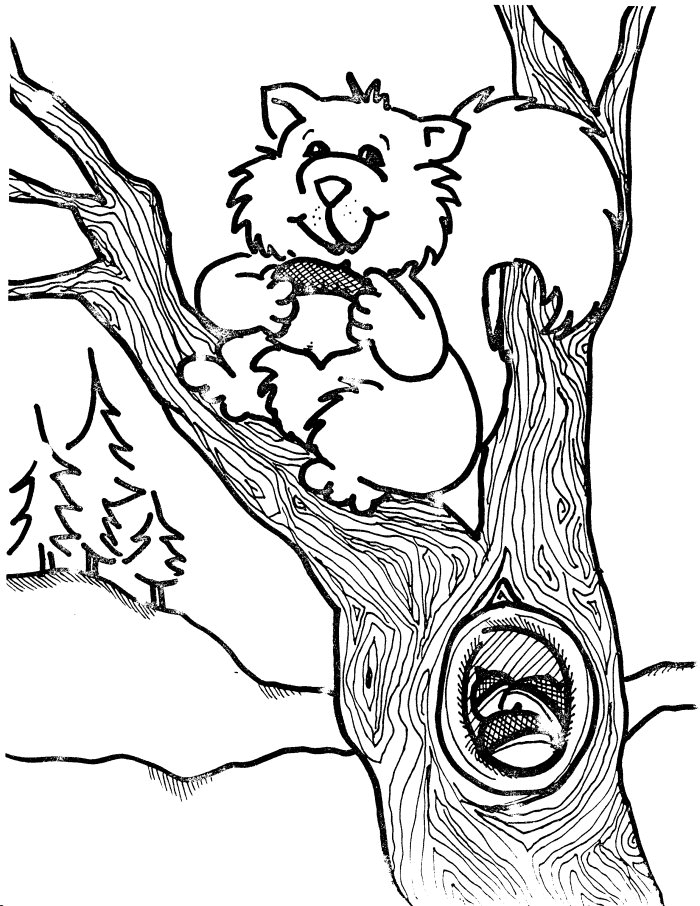 Baby Squirrel on Tree Coloring Page