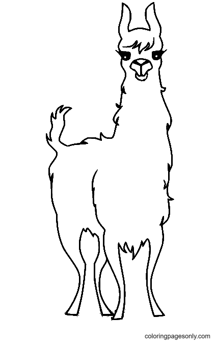Beautiful Llama Coloring Page