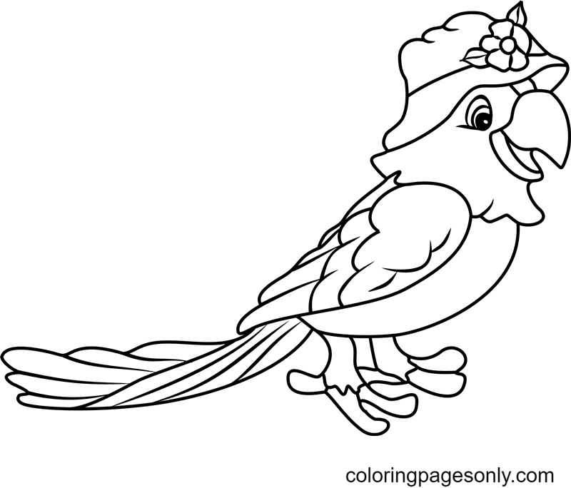 Beautiful Parrot Coloring Page