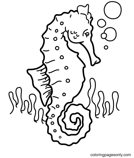 Beautiful Seahorse Coloring Pages
