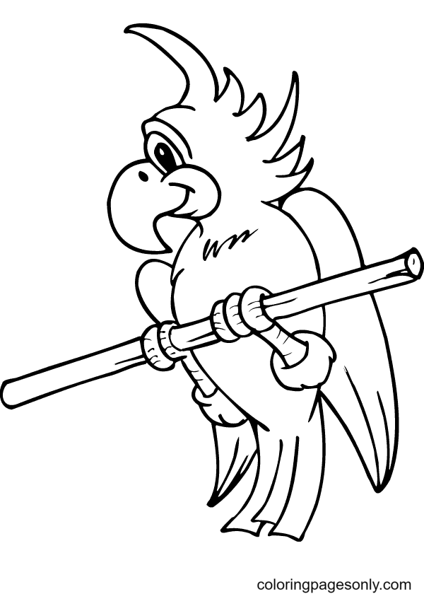 Bird Parrot Coloring Page