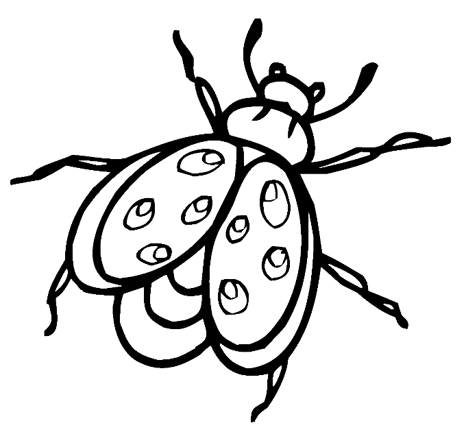 Bug-Bilder von Bugs
