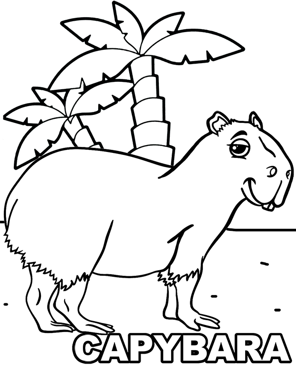 Capybara Animal Isolated Coloring Page for Kids 19979743 Vector