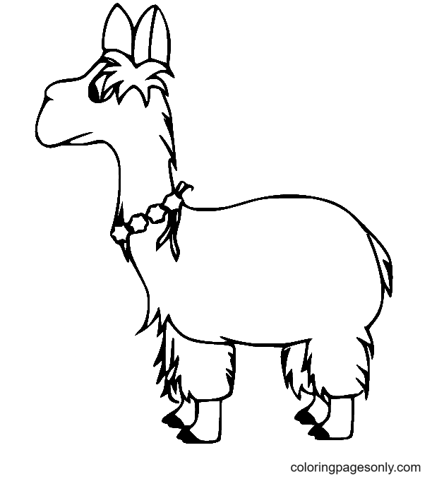 Cartoon Funny Llama Coloring Page
