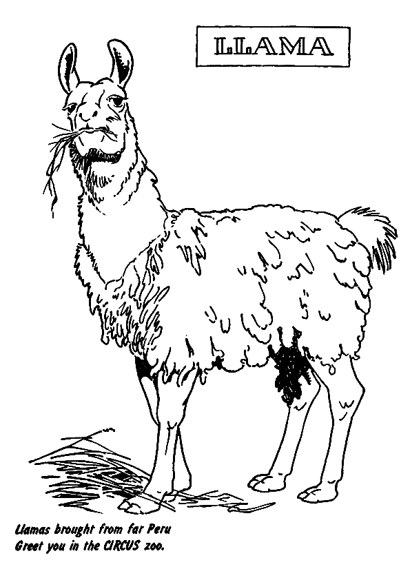 来自 Llama 的马戏团 Llama