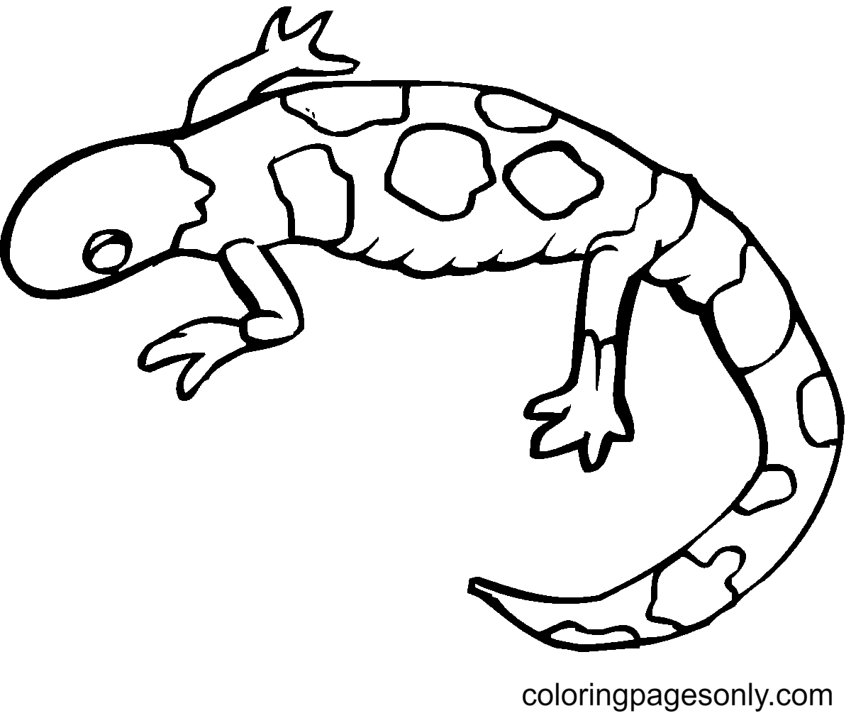 Colorful Gecko Coloring Page