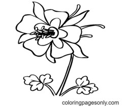 Columbine Coloring Pages