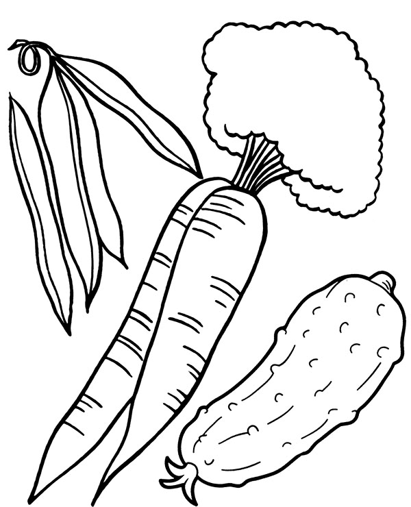 Cucumber and Carrots Coloring Page